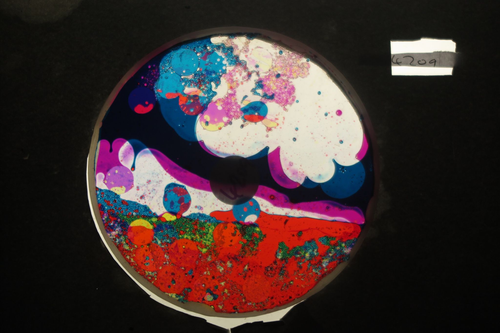 BV4209 bubble vision oil wheel